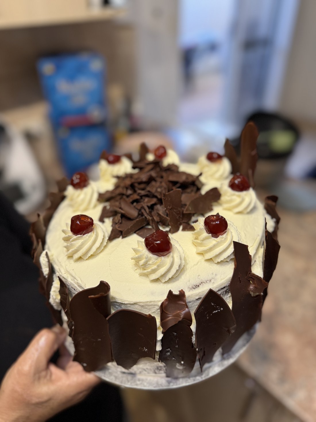 Black Forest cake with chocolate shards and cherries.